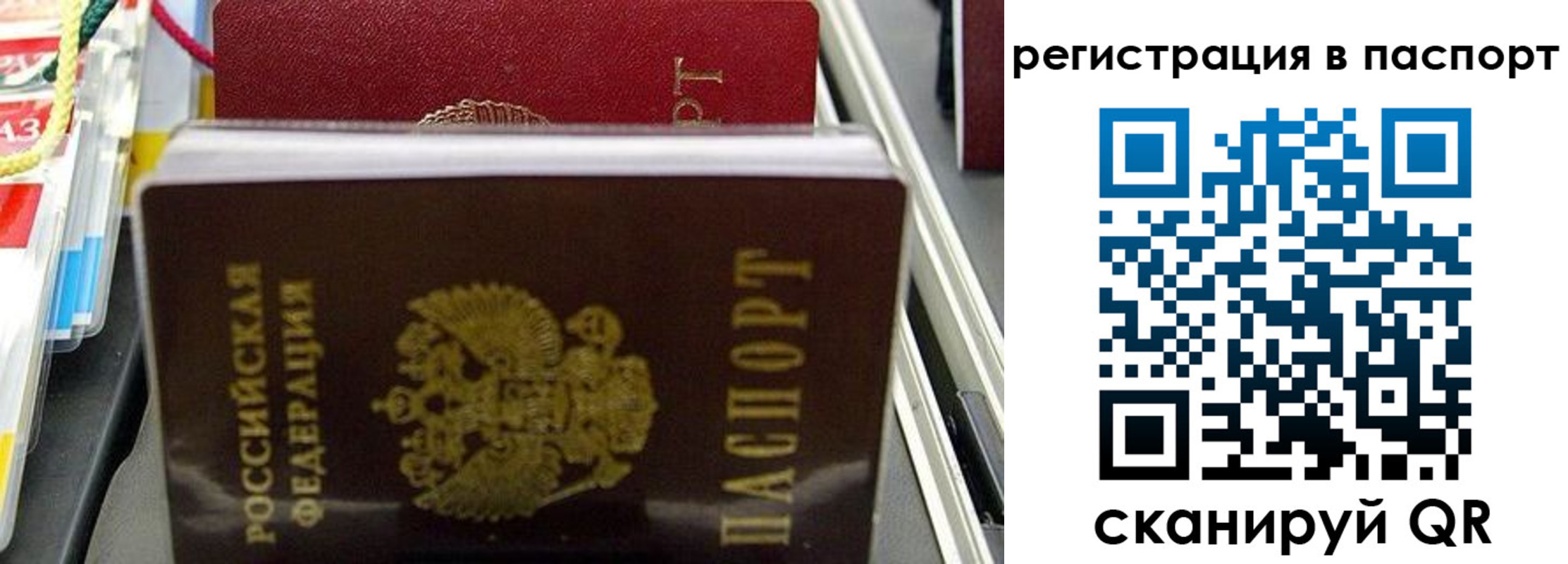 прописка для школы в Кстово